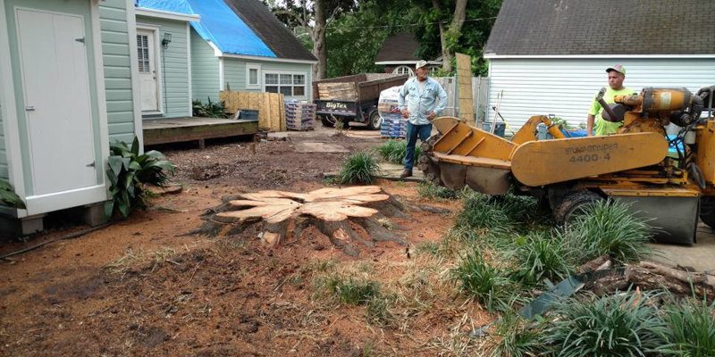 Stump Removal in Shreveport, Louisiana